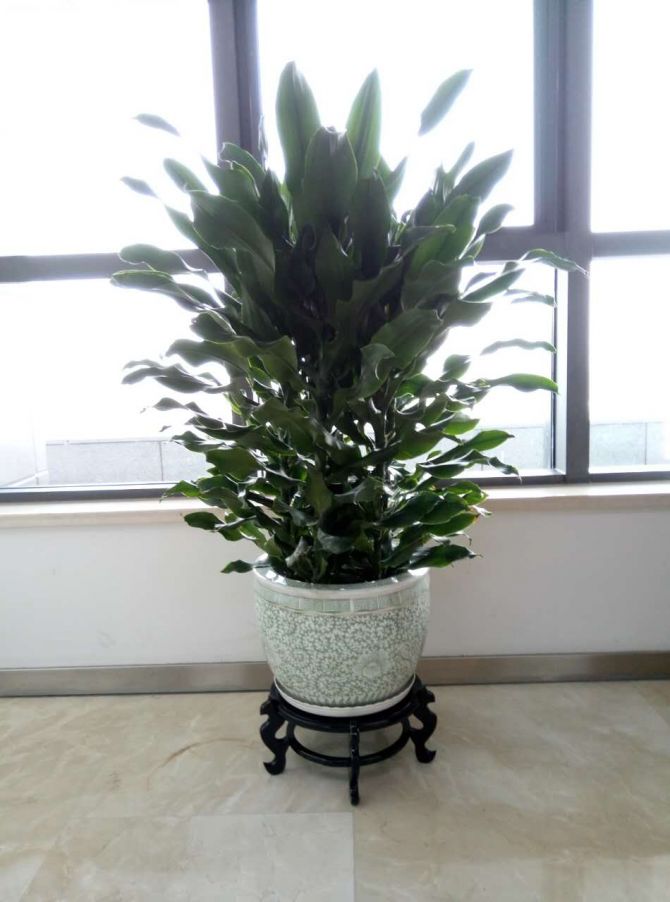 灃東管委會(huì)