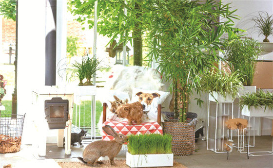 冷鏈為鮮花帶來了什么？