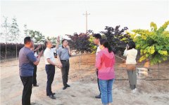 國(guó)家林業(yè)和草原局一行到名品彩葉專(zhuān)題調(diào)研