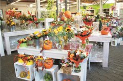 欠發(fā)達地區(qū)花園中心經(jīng)營策略 記捷克Zahradnictvi