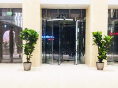 綠植租賃打開你新世界的大門！