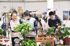 聽說大連這所學校開了場花卉展，點進來看看