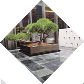 酒店綠化養(yǎng)護(hù)