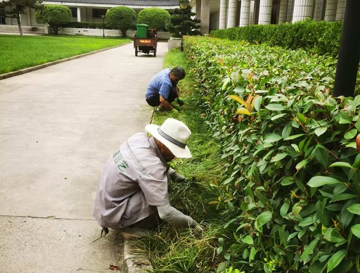 綠化養(yǎng)護(hù)|陜西嘉潤園林