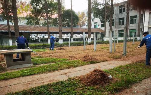 秋冬季綠化養(yǎng)護(hù)知識