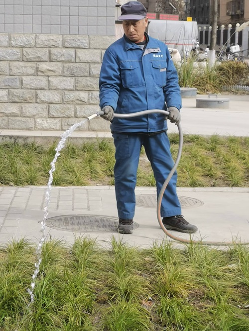 ?樹(shù)木冬季怎樣養(yǎng)護(hù)